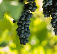 Garden  Field Wines - Perths Hotel