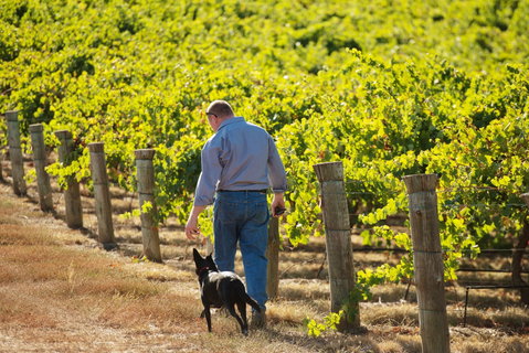 Eden Hall Wines - Perths Hotel 1