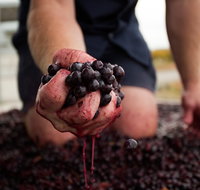 Tomfoolery Wines - Perths Hotel
