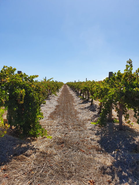 Ulster Park Wines - Perths Hotel 2