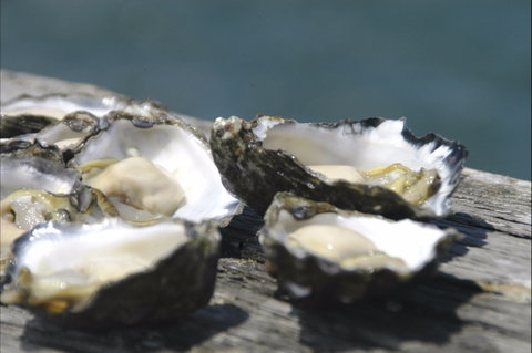 Jim Wild's Oyster Service - Perths Hotel 0