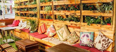 Livingstone's Urban Jungle - Perths Hotel 6