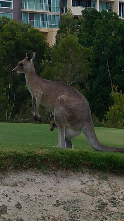 T On Course - Perths Hotel 6