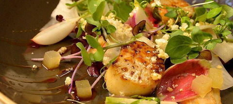 Mr. Tod Cafe - Perths Hotel 2