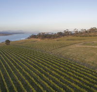 Bangor Vineyard Shed - Perths Hotel