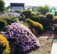 Pipers River Tea House and Crafts - Perths Hotel