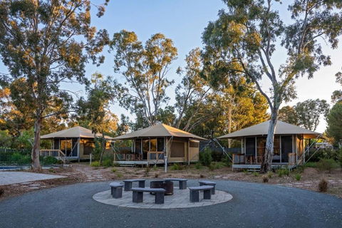 Discovery Parks Barossa Valley - Perths Hotel 0