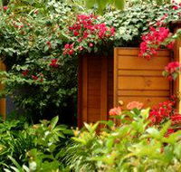 Pink Flamingo - Perths Hotel