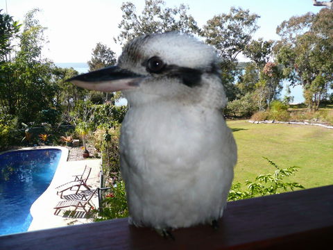 Yarrandabbi Dreaming Boutique B&B - Perths Hotel 2
