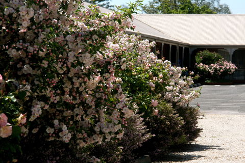 Wine Village Motor Inn - Perths Hotel 0