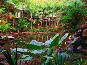 Daintree Eco Lodge & Spa - Perths Hotel 0