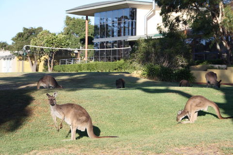 BreakFree Wirrina Cove - Perths Hotel 28