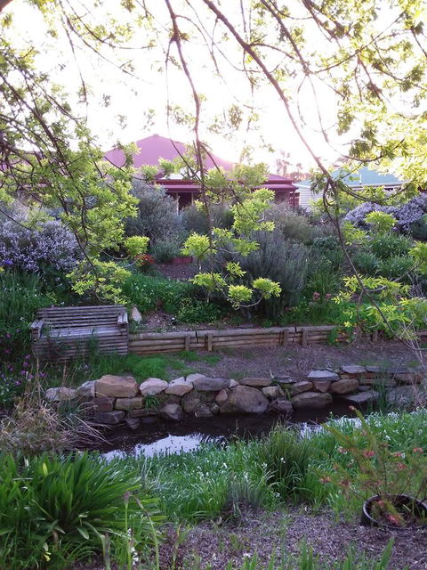Frog Song At Willunga - Perths Hotel 0