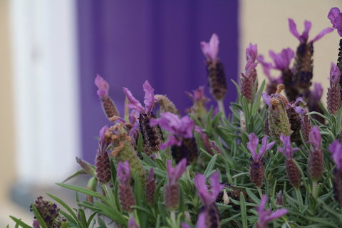 The Purple Door On Seaview - Perths Hotel 0