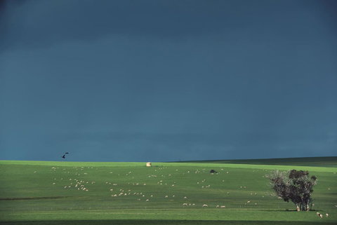 Boutique Getaway On Wright - Perths Hotel 29