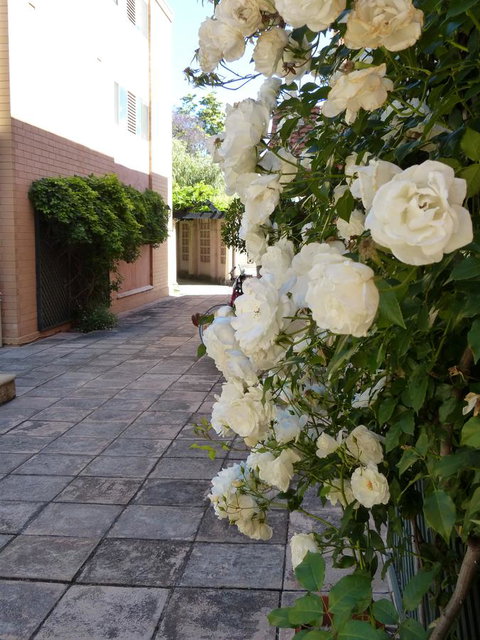 Monaco Court Apartment Adelaide - Perths Hotel 19