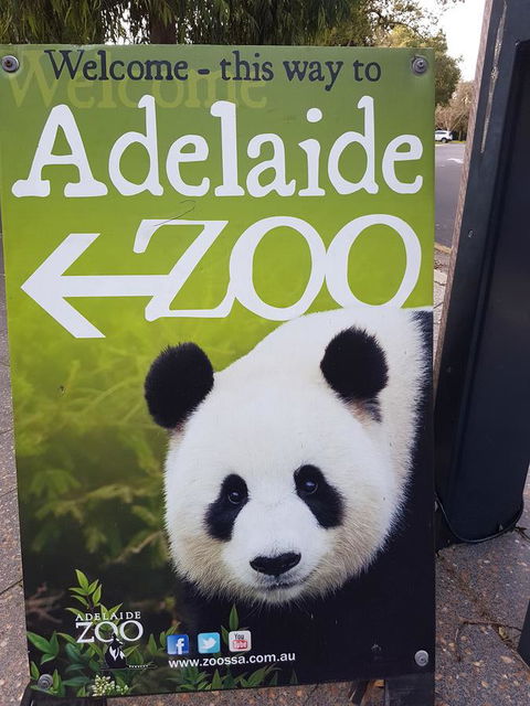 Adelaide Style Accommodation-Close To City-North Adelaide-3 Bdrm- FREE Parking - Perths Hotel 35