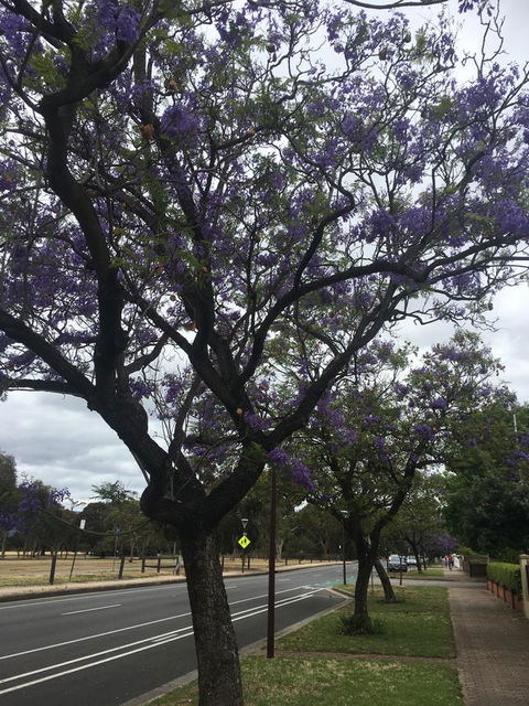 Adelaide Style Accommodation-Close To City-North Adelaide-3 Bdrm- FREE Parking - Perths Hotel 34