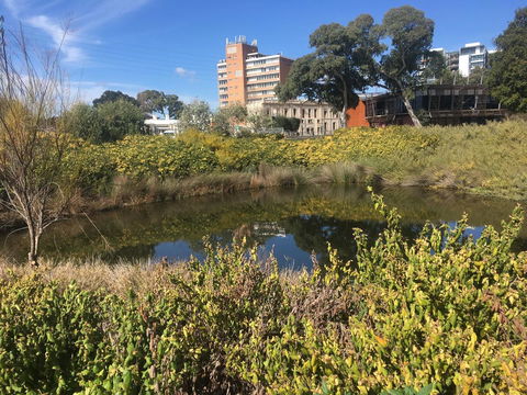 Adelaide Style Accommodation-Close To City-North Adelaide-3 Bdrm- FREE Parking - Perths Hotel 40