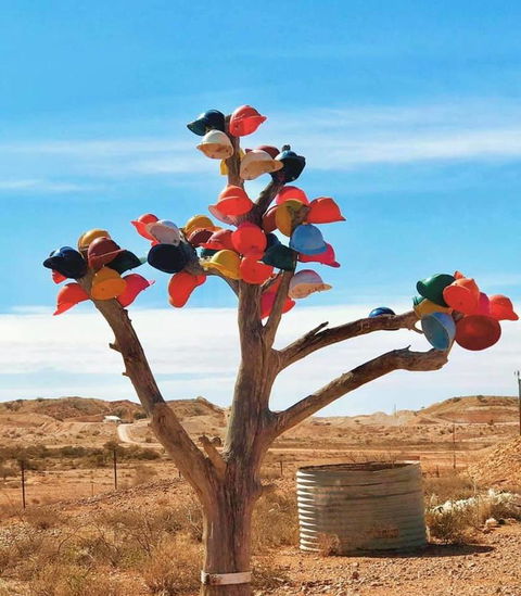 Aussie Opal Diggers Outback Retreat-Undergound - Perths Hotel 29