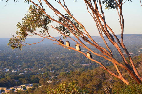 Kingsview Belair, Apartment Grand Views Of Adelaide - Perths Hotel 1