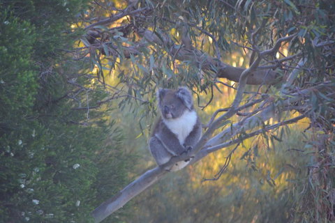Kingsview Belair, Apartment Grand Views Of Adelaide - Perths Hotel 15