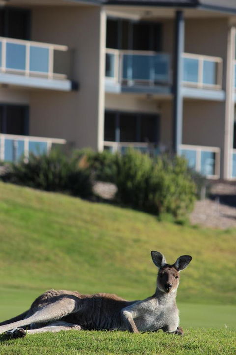 Lady Bay Hotel - Perths Hotel 16