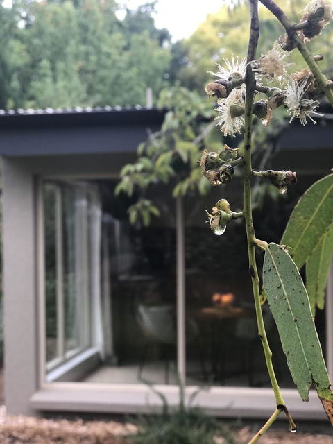 Adelaide Hills Retreats - Perths Hotel 9