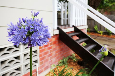 Hudson Bay @ Basin View-Pet Friendly-15 Mins To Hyams Beach - Perths Hotel 38