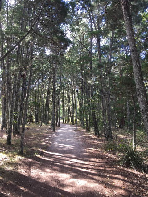 Brunswick Heads Treetop Studio - Perths Hotel 8