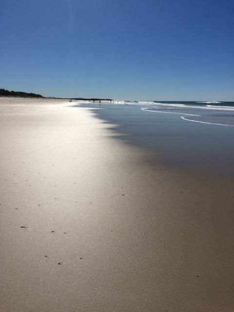 Brunswick Heads Treetop Studio - Perths Hotel 23