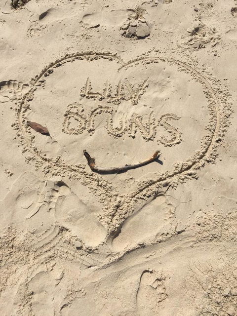 Brunswick Heads Treetop Studio - Perths Hotel 5