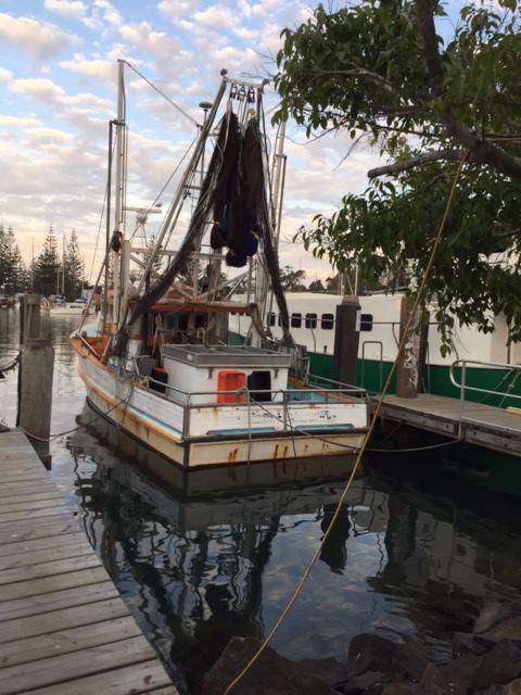 Brunswick Heads Treetop Studio - Perths Hotel 25