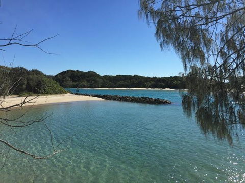 Brunswick Heads Treetop Studio - Perths Hotel 22