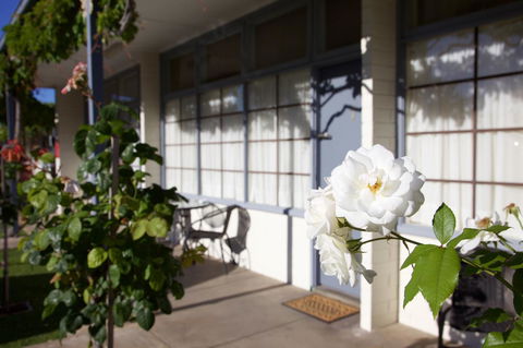 Guichen Bay Motel - Perths Hotel 33
