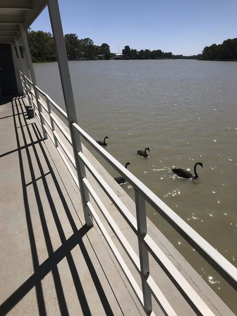 Murray River Queen - Perths Hotel 7