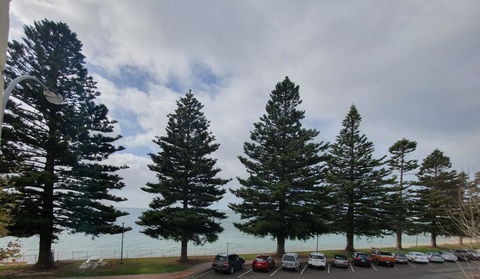 Pier Hotel Port Lincoln - Perths Hotel 12