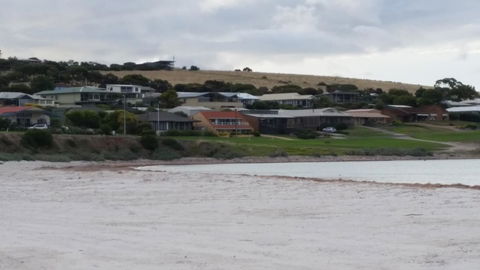 Rosie\'s - Perths Hotel 11