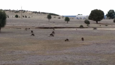 Rosie\'s - Perths Hotel 27