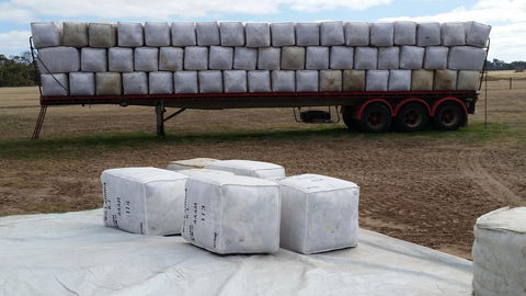 Rosie\'s - Perths Hotel 23