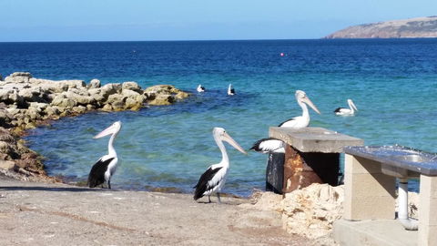 Rosie\'s - Perths Hotel 19