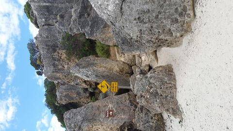 Rosie\'s - Perths Hotel 24