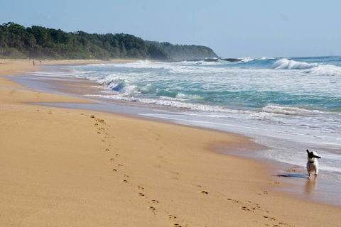 Culburra Beachhouse - Perths Hotel 7