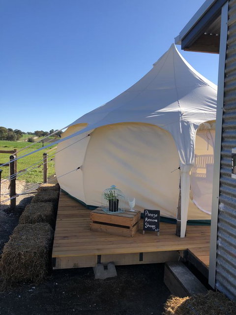 Bukirk Glamping & Fancy Coops - Perths Hotel 11