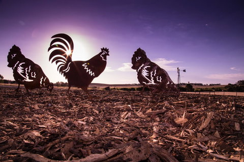 Bukirk Glamping & Fancy Coops - Perths Hotel 34