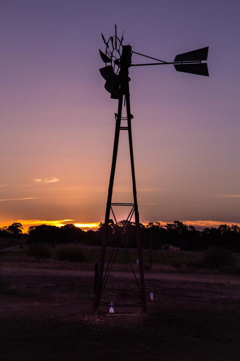 Bukirk Glamping & Fancy Coops - Perths Hotel 31