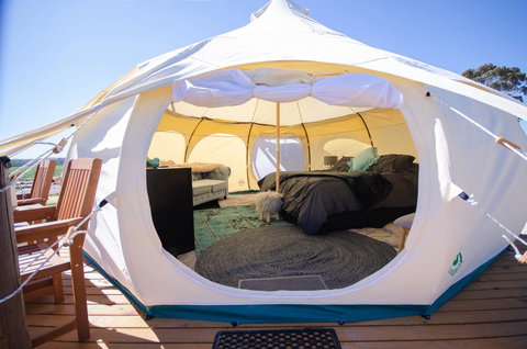 Bukirk Glamping & Fancy Coops - Perths Hotel 14