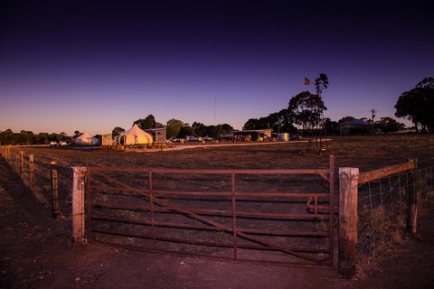 Bukirk Glamping & Fancy Coops - Perths Hotel 33