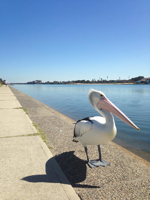 Lakeside - Perths Hotel 12