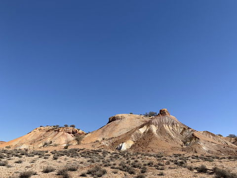 Opal Inn Hotel, Motel, Caravan Park - Perths Hotel 14